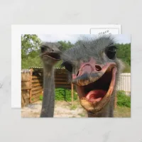 Funny Face Ostrich Couple Photo Postcard