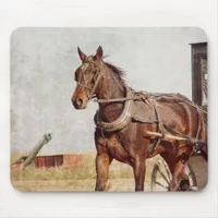 Kalona, Iowa Amish Horse and Buggy Mouse Pad