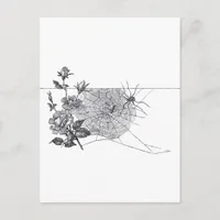Vintage Spider Web and Rose Black White Postcard