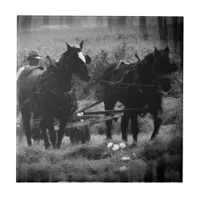 Amish Horses in Hay Field Working Ceramic Tile