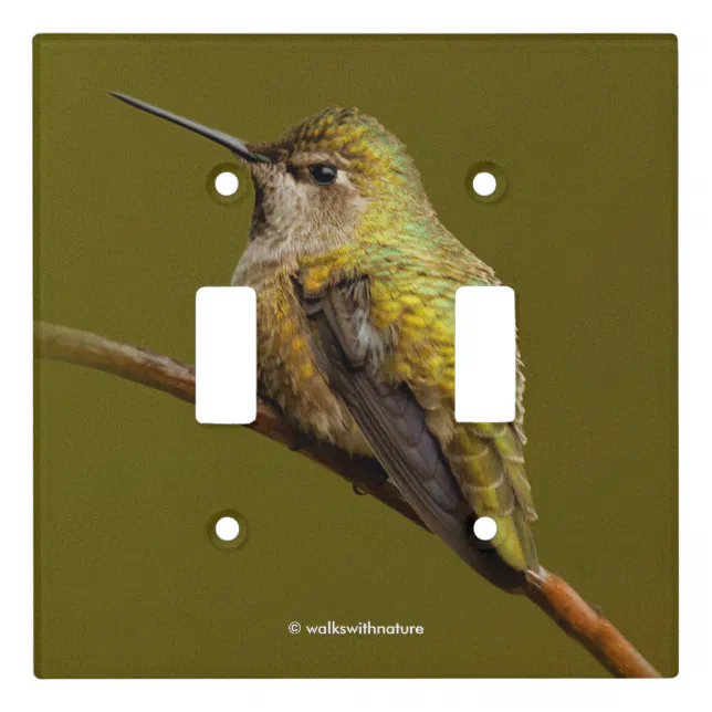 Anna's Hummingbird on Scarlet Trumpetvine Light Switch Cover