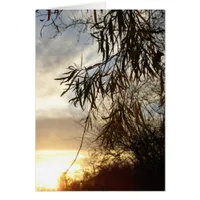 As The Sun Sets