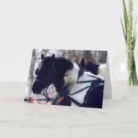 Pinto Draft Horses, Father's Day Card