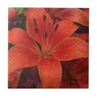Raindrops on a Lily Tile