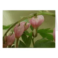 Bleeding Hearts Linen Texture