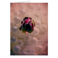 Rose and Pearls Still Life