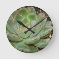 Succulent, Hen and Chicks Round Clock