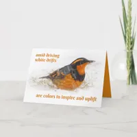 Stunning Varied Thrush in Snow Christmas Card