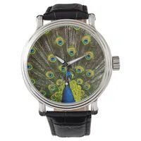 Colorful peacock watch