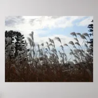 Weeds blowing in the Wind Photography  Poster