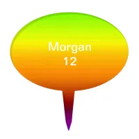 Spectrum of Horizontal Colors -3 Cake Topper