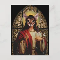 Cat Jesus Postcard