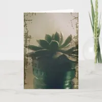 Plant Card