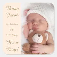 Add Your Baby's Photo & Birth Information Sticker