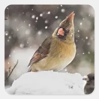 Pretty Cardinal Snow Scene Stickers