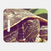 Red Eared Slider Turtle Seat Cushion