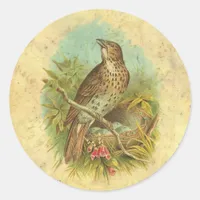 Thrush Vintage Classic Round Sticker