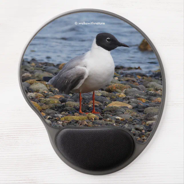 Bonaparte's Gull at the Beach Gel Mouse Pad