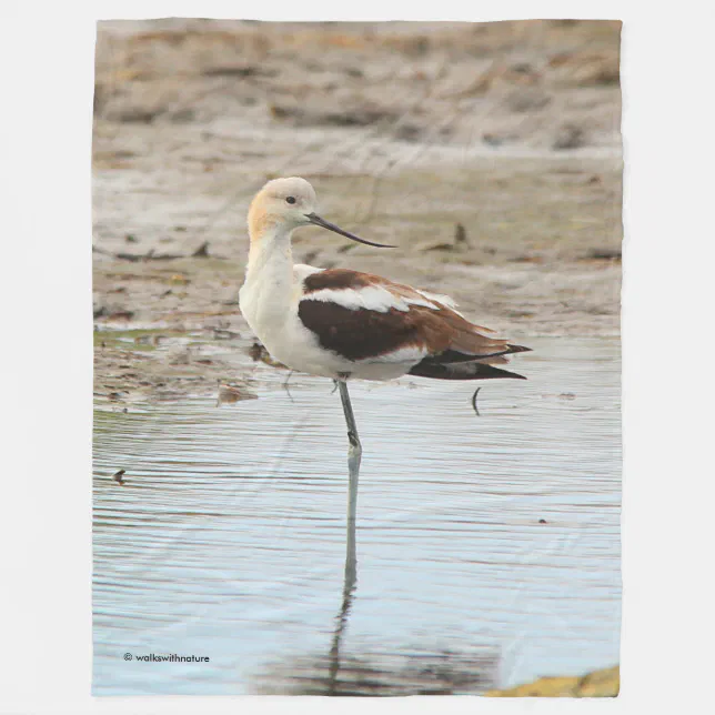 Stunning American Avocet Wading Bird at the Beach Fleece Blanket