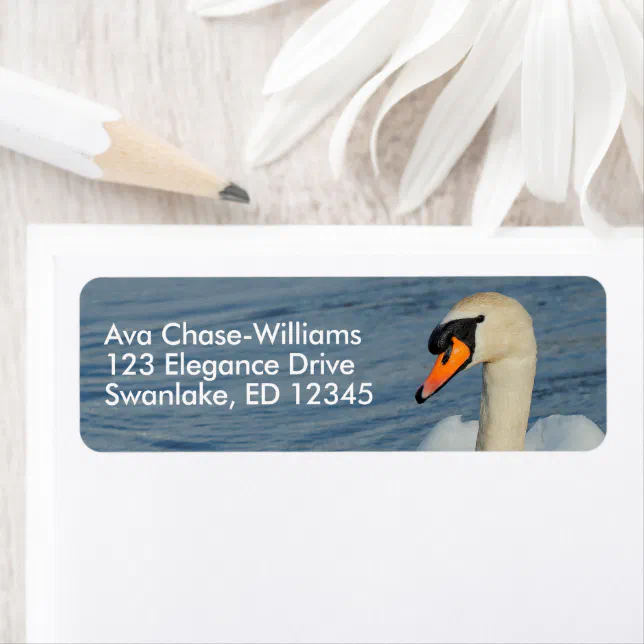 Beautiful Mute Swan in Harbor Waters Label