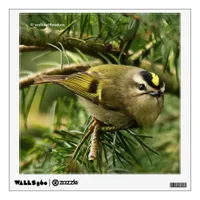 Cute Kinglet Songbird Causes Stir in the Fir Wall Sticker