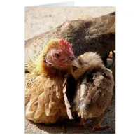 A Mother's Love