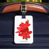 Kaffir Lily / River Lily / Hesperantha Coccinea Luggage Tag