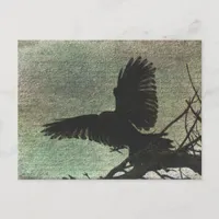 Raven Postcard