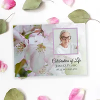 White Pink Crab Apple Flowers Celebration of Life Invitation