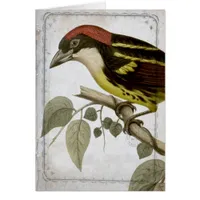 Vintage Bird on a Branch