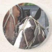 Two Horse Team With One Pinto Sandstone Coaster