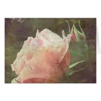 Vintage Rose