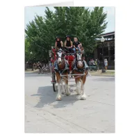 Draft Horses at a State Fair