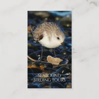 Sanderling Birdwatching / Nature Tours Business Card