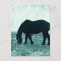 Winter Percheron Postcard
