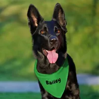 Custom Personalized Name Minimal Kelly Green Pet Bandana Collar