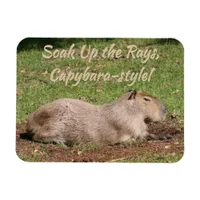 Soak Up the Rays, Capybara-style! Magnet