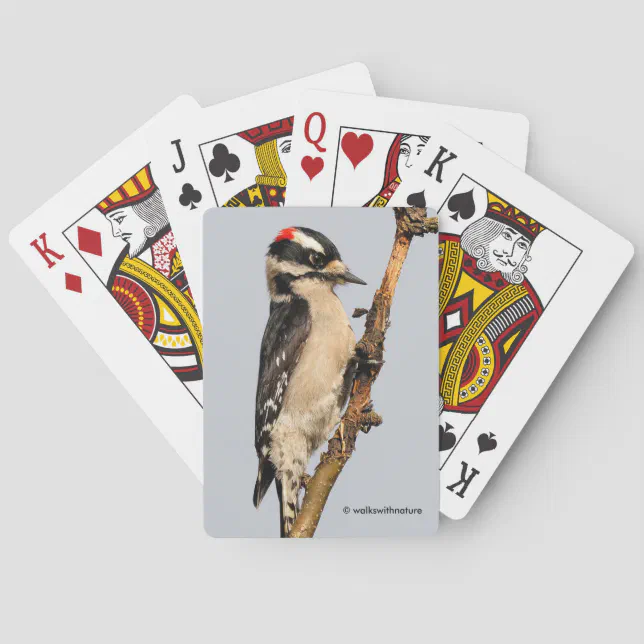 Cute Downy Woodpecker on Fruit Tree Poker Cards