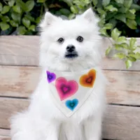 Colorful groovy hearts pet bandana collar