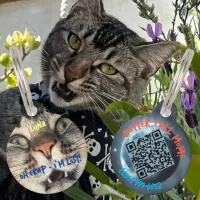 Funny Dog Cat Humor Personalized Details & QR Code Pet ID Tag