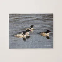 Flock of Common Merganser Ducks at the Slough Jigsaw Puzzle