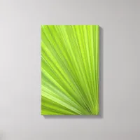 Tropical Green Palm Frond Canvas Print