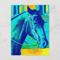 Colorful Western Horse Postcard