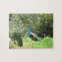 Puzzle - Peacock on the hill (horiz.)