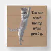 Box Sign - Cat Reaching for the Top