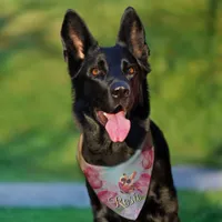  Watercolor  Pink Tulips Custom Pet Bandana Collar