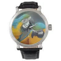 Parrots in love watch