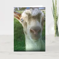 Thunder Card