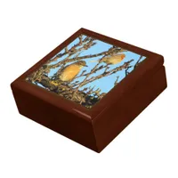 Gift Box - Robbins in Branches