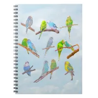 Lots of colorful parakeets - cute little birds   notebook